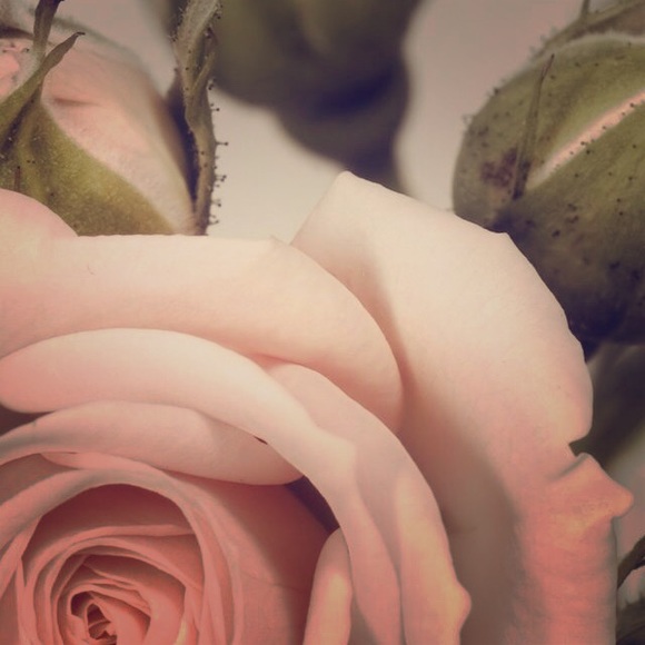 Meet your Posher, hlynniew - Picture 1 of 1